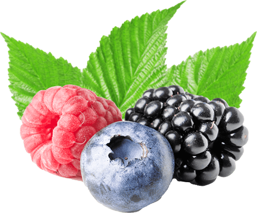 Raye Berry